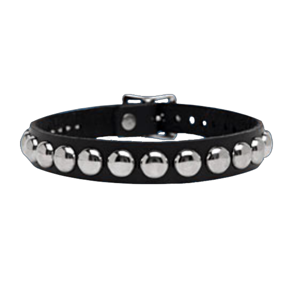 1-Row Dot Collar