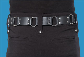 2-Row O-Ring Link Belt
